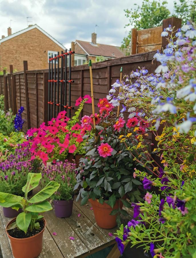 Simply Guesthouse London Exterior photo